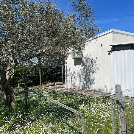 קופר Apartma Korelc מראה חיצוני תמונה