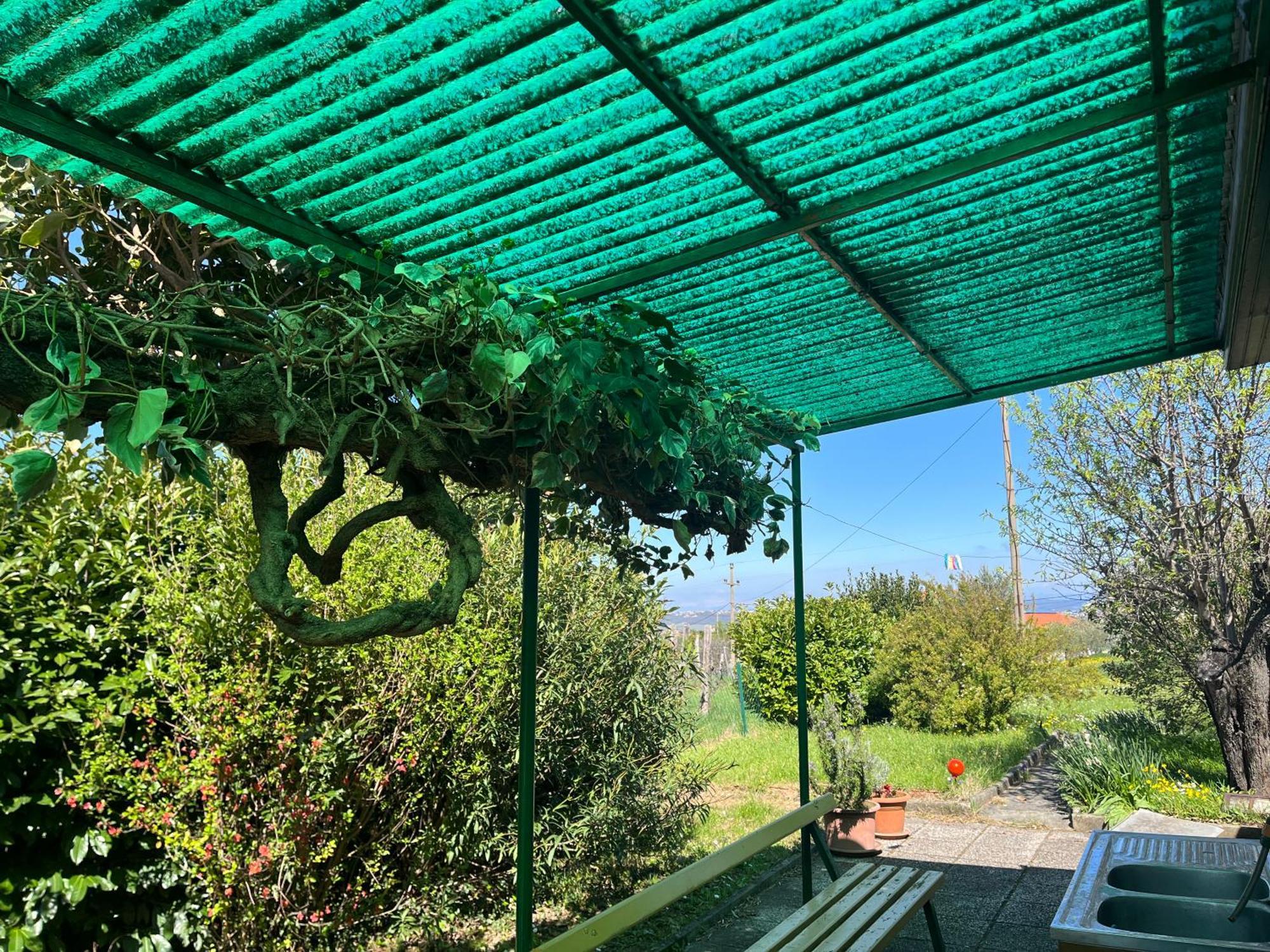 קופר Apartma Korelc מראה חיצוני תמונה