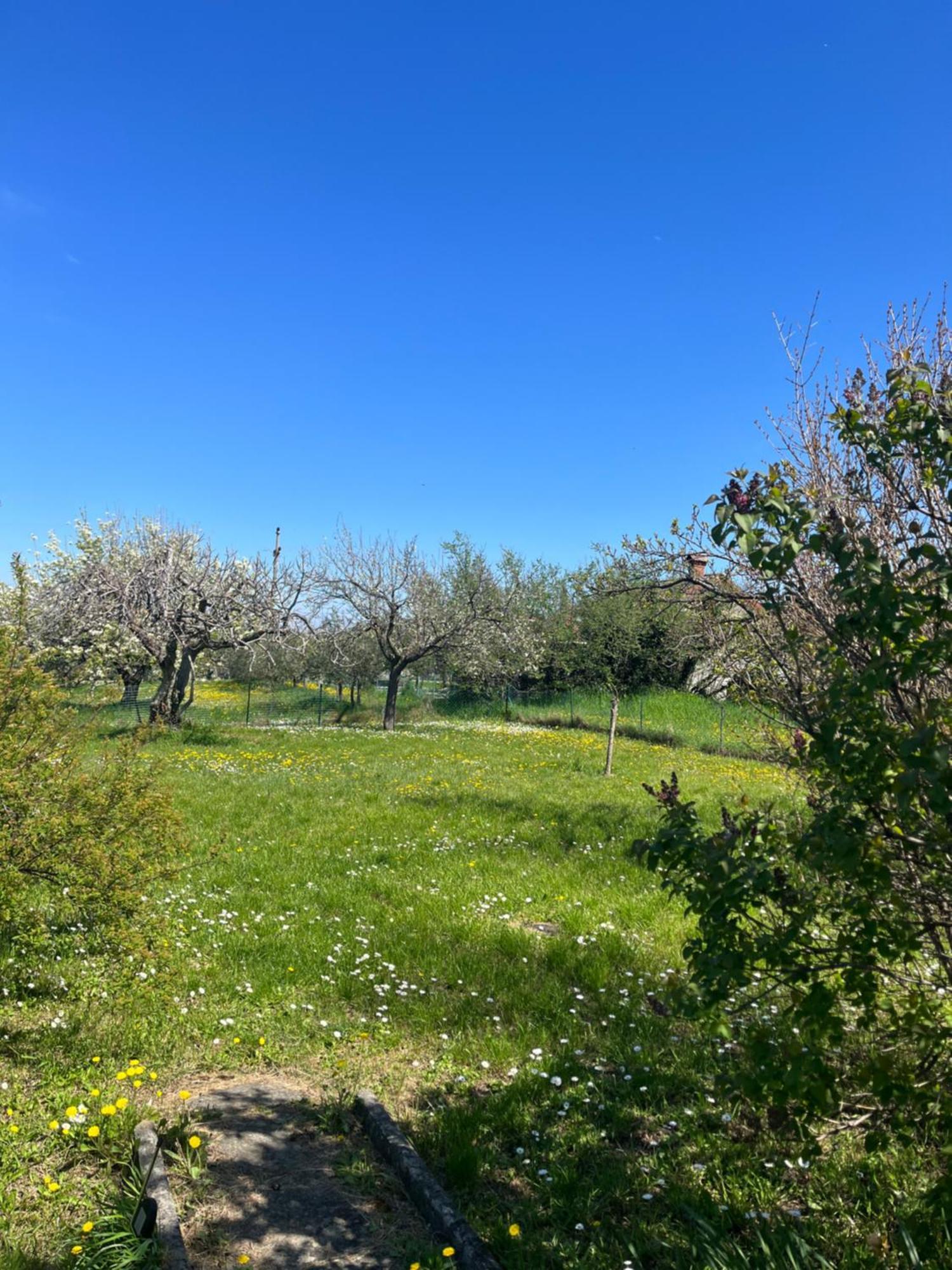 קופר Apartma Korelc מראה חיצוני תמונה