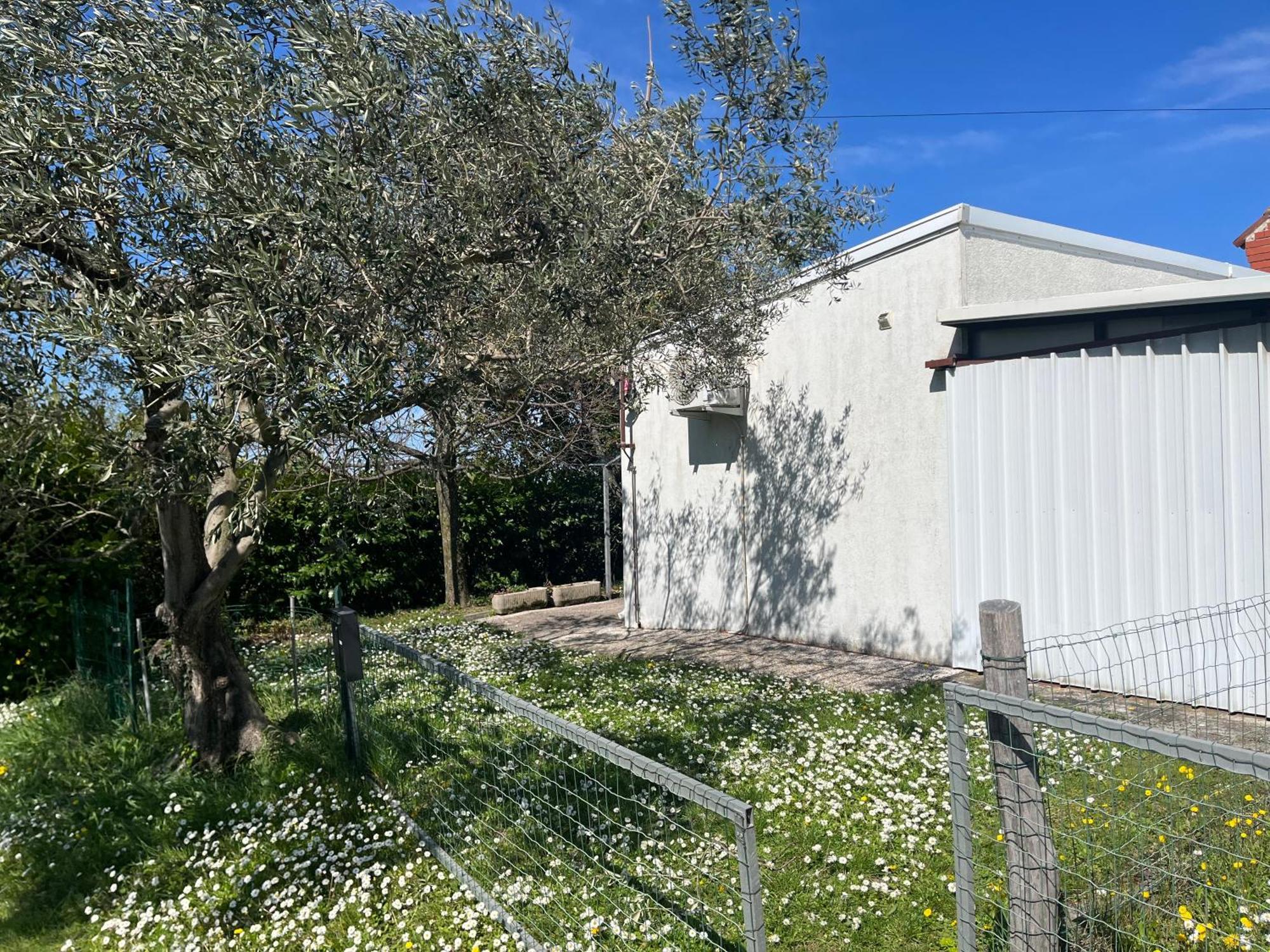 קופר Apartma Korelc מראה חיצוני תמונה